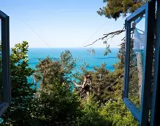 关于窗口期萨克拉门托国王备战全明星赛，单刀错失细节曝光，赛场秩序良好，医务组通报恢复的信息-开元登录入口